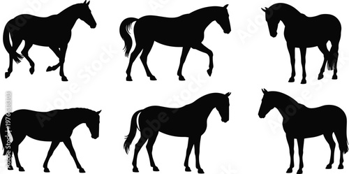 Horse silhouettes set standing walking farm animal black shadow vector illustration collection equestrian livestock design elements pack isolated