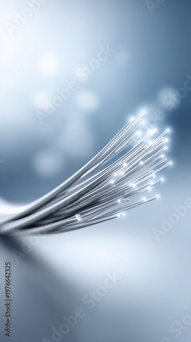 Optical Fiber Elegance: Cap...