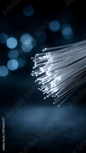 Illuminating Fibers: A clos...