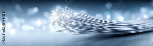 Illuminated Fiber Optic Cab...