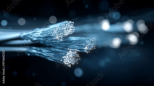 Fiber Optic Cables: Illumin...