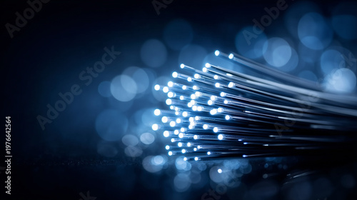 Fiber Optics Connection: A ...