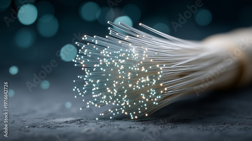 Illuminating Fibers: A clos...