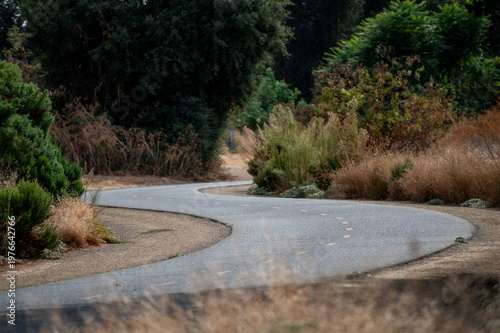 winding bike trail
