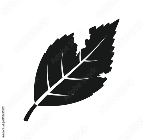 Black silhouette of a single leaf with jagged edges and visible veins on white background