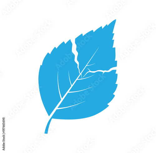 blue leaf with jagged edges and white veins on white background