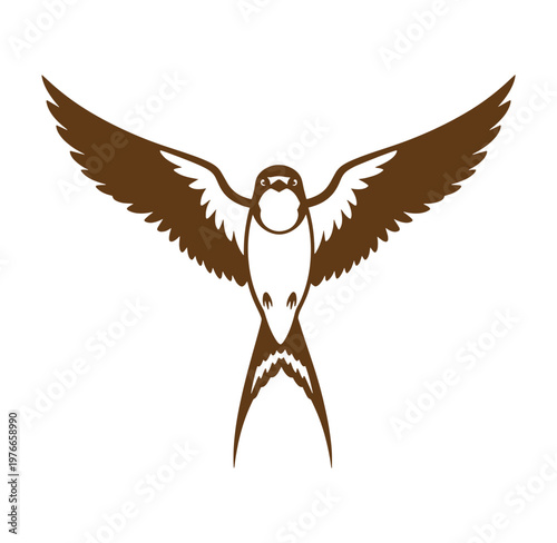 Brown bird flying with spread wings in air  isolated on white background