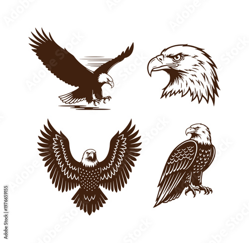 Brown eagle illustrations in various poses and styles on white background
