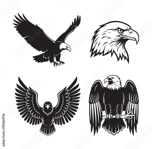 Four different eagle illustrations in black and white on plain white background
