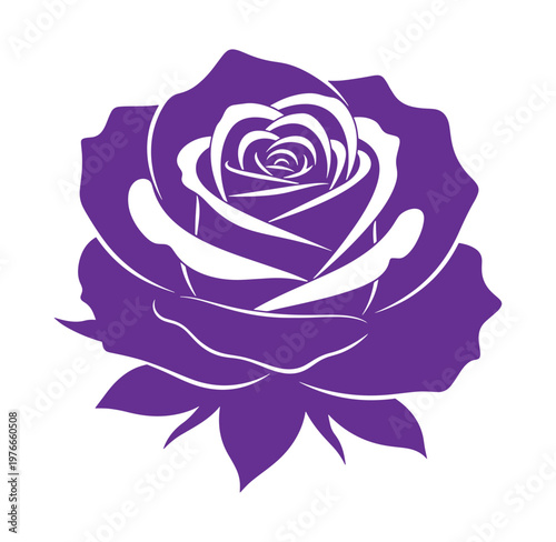 Purple rose flower silhouette with white lines on clean background
