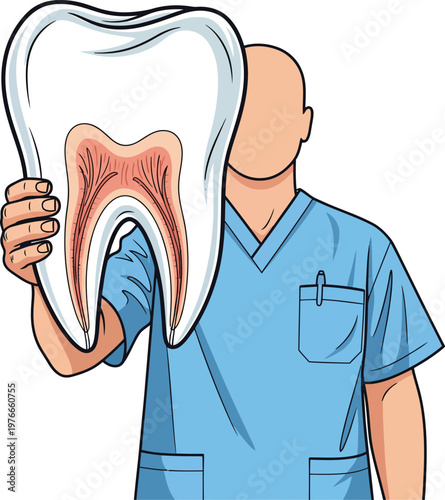 Dentist Holding Large Tooth Showing Anatomy.