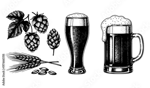 Hand drawn beer ingredients and glassware vector set with hops malt and mug in vintage engraving style