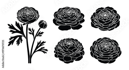 Adobe Illustrator Artwork