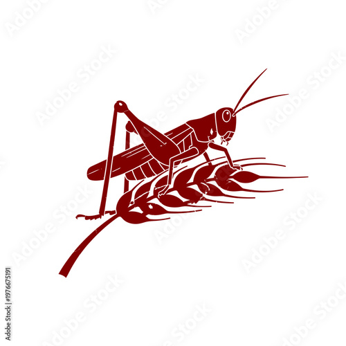 Grasshopper perched on wheat stalk illustration.