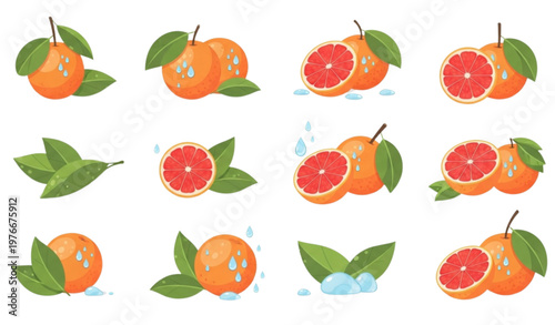 Fresh Citrus Fruits Set with Orange Grapefruit Slices and Leaves Juicy Summer Food Collection Isolated on White Background Vector Illustration