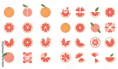 Orange Fruit Slice Collection with Whole Citrus Pieces and Segments Fresh Juicy Food Elements Set Isolated on White Background Vector Illustration