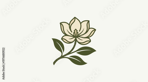 Elegant Magnolia Flower on a Stem