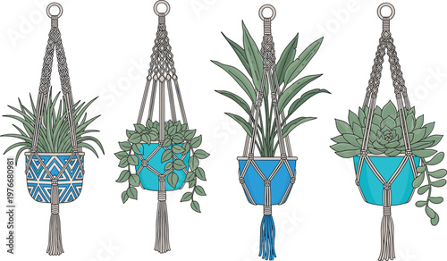 Flat vector illustration of macrame hanging planter pots with various green plants turquoise pots tassels and boho style decor symbols