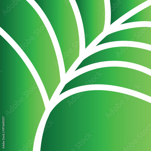 palm tree leaves