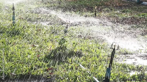 Outdoor lawn sprinkler system for lush green lawns. A backyard landscape watering system for sunny summer days, keeping your lawn moist and sparkling.