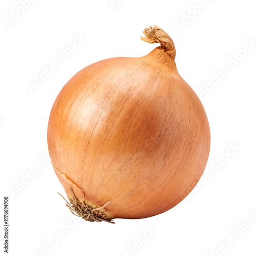 Whole Brown Onion Isolated on Transparent Background