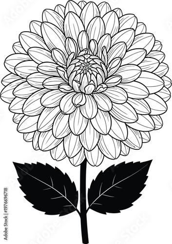 Detailed Floral Line Art Illustration