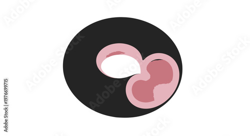 Donut with Pink Filling and Icing.