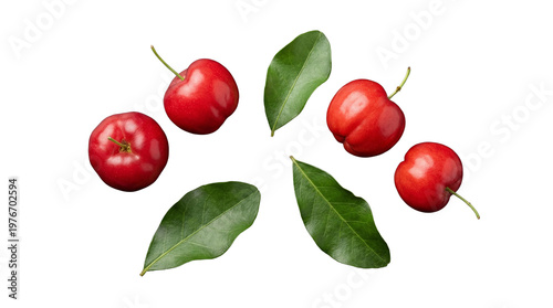 Obraz na płótnie Freshly picked ripe acerola cherries and green leaves artfully arranged in a circular pattern