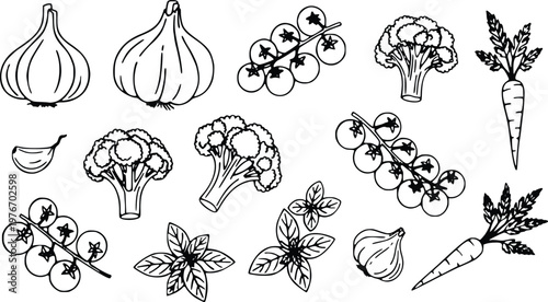 Hand drawn vector illustration featuring a curated collection of fresh culinary ingredients including garlic bulbs broccoli florets ripe cherry tomato vines crunchy orange carrots and aromatic green