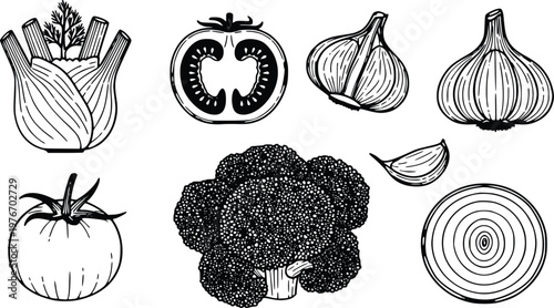 Vector illustration set showcases a detailed collection of vegetables including fennel, sliced tomatoes, savory garlic bulbs, a healthy broccoli head, and onion rings for culinary projects.