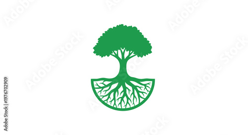 Green tree roots in soil.