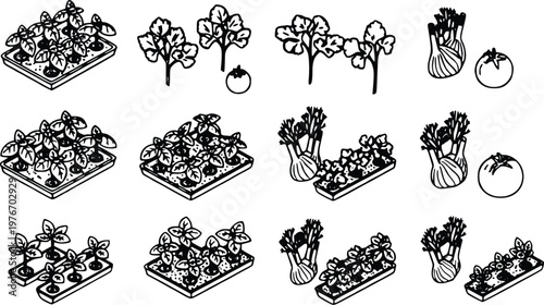Collection of vector illustration elements featuring various stylized garden herbs seedlings and fresh vegetables arranged in isometric layouts designed for clean professional agricultural projects