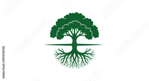 Green tree with exposed roots growing.