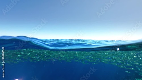 Over under split level shot in Red Sea Egypt showing school of fish underwater and calm sea surface with blue sky above, half underwater half above water composition 