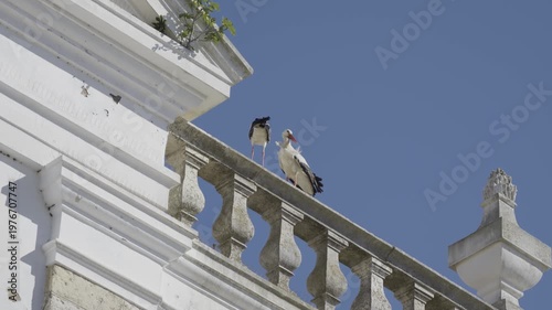 View of the Igreja da Misericórdia with two storks perched on top of the church.