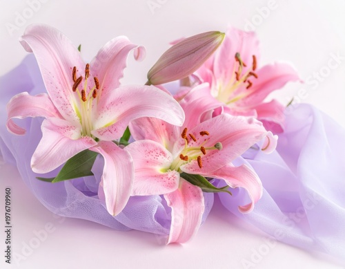 Beautiful bouquet of pink lilies featuring blooming petals and green leaves in a floral spring garden