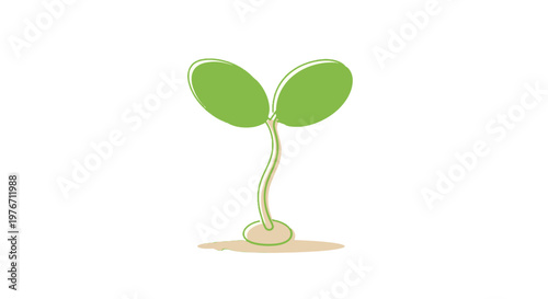 Green Seedling with Two Leaves Illustration.
