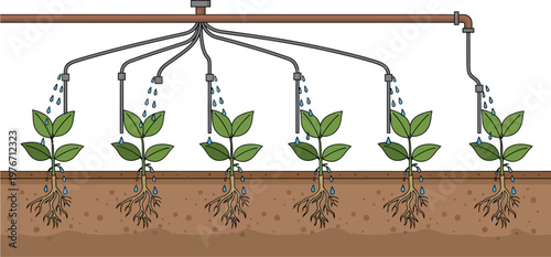 Detailed illustration of a drip irrigation system efficiently watering five young plants with visible roots in the soil.