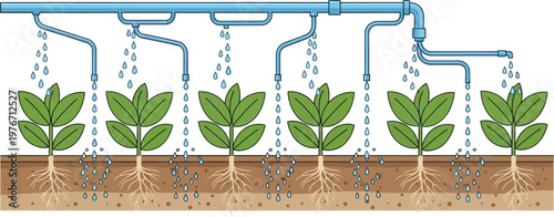 Illustration of a drip irrigation system watering a row of plants in soil, showing water droplets and roots.