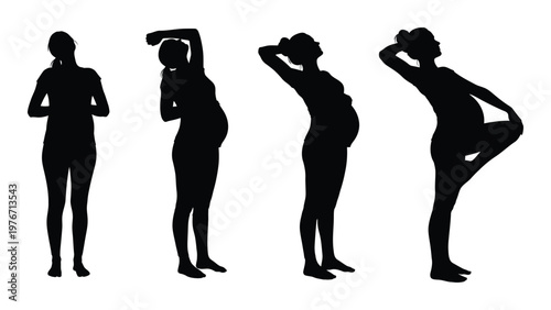 Silhouette series depicting a woman s body through the stages of pregnancy
