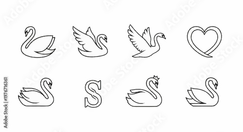 Elegant Swan Illustrations - A Collection of Graceful Designs.