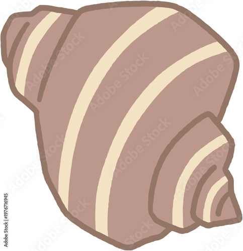 sea shell conch illustration