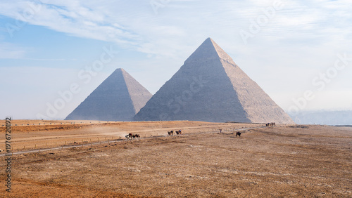 Foto Giza Pyramid Complex (Distant Camel Caravan)