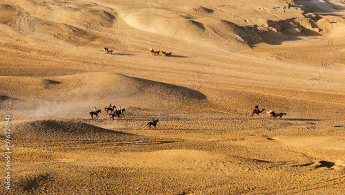 Photos Horse Carriage and Horse Riding in Giza Desert