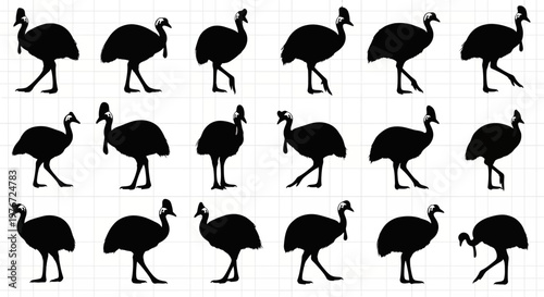 Collection of black ostrich silhouettes in various poses on white background with grid