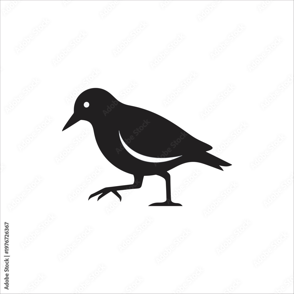 Fototapeta premium Crow perched on a branch silhouette on white background