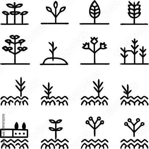 Minimalist botanical illustrations display various stages of plant growth, from tiny sprouts to mature forms, providing a clean and versatile visual resource.