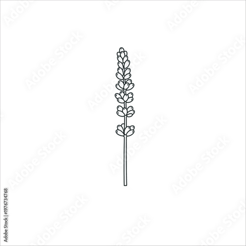 Set of metal drill bits on white background
