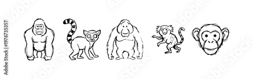 Hand-drawn primates and monkeys doodle icon set