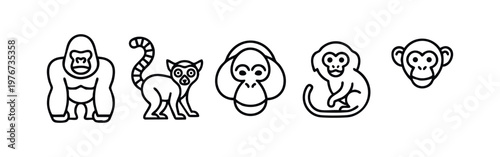 Primates and monkeys minimalist line art icons collection